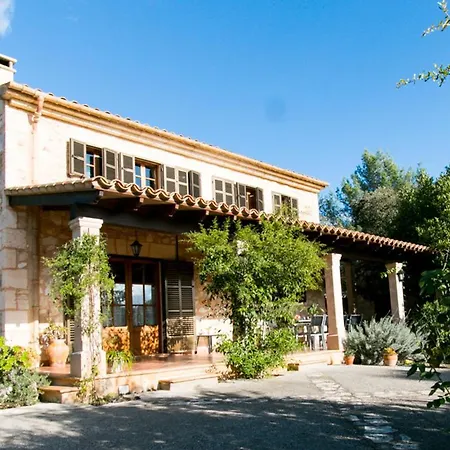 Cocons * Sineu (Mallorca)